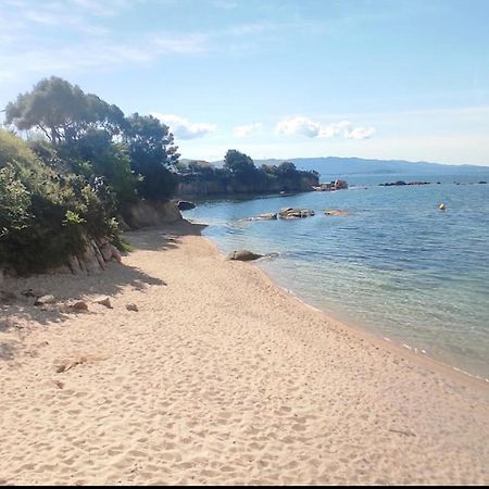 Апартаменти Magnifique T2 Ajaccio Аяччо Екстер'єр фото